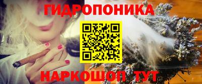 a pvp Абакан